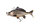 Fox Rage Replicant® Carp Super Natural 23 cm