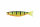 Fox Rage Pro Shad Jointed 18 cm