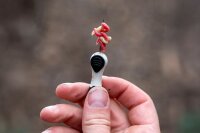 Nash Tackle Maggot Needle