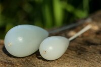 Nash Tackle Bolt Machine